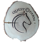 Quest Primary Gallery